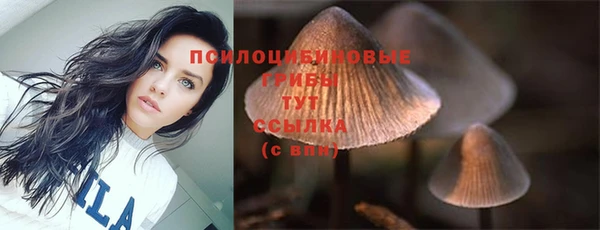 круглые Алексеевка