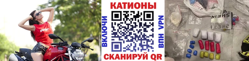 блэк спрут зеркало  Староминская  МЯУ-МЯУ мяу мяу 